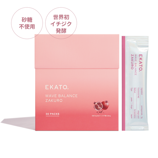 PRODUCTS – EKATO.